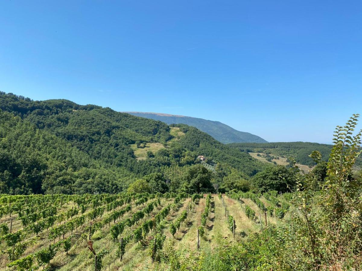 Agriturismo Le Case アッシジ エクステリア 写真