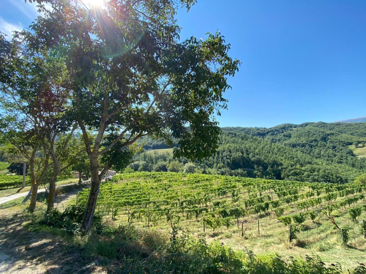 Agriturismo Le Case アッシジ エクステリア 写真