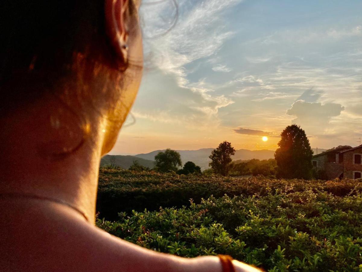 Agriturismo Le Case アッシジ エクステリア 写真