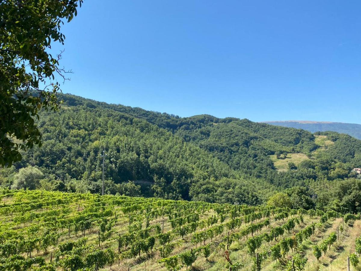 Agriturismo Le Case アッシジ エクステリア 写真