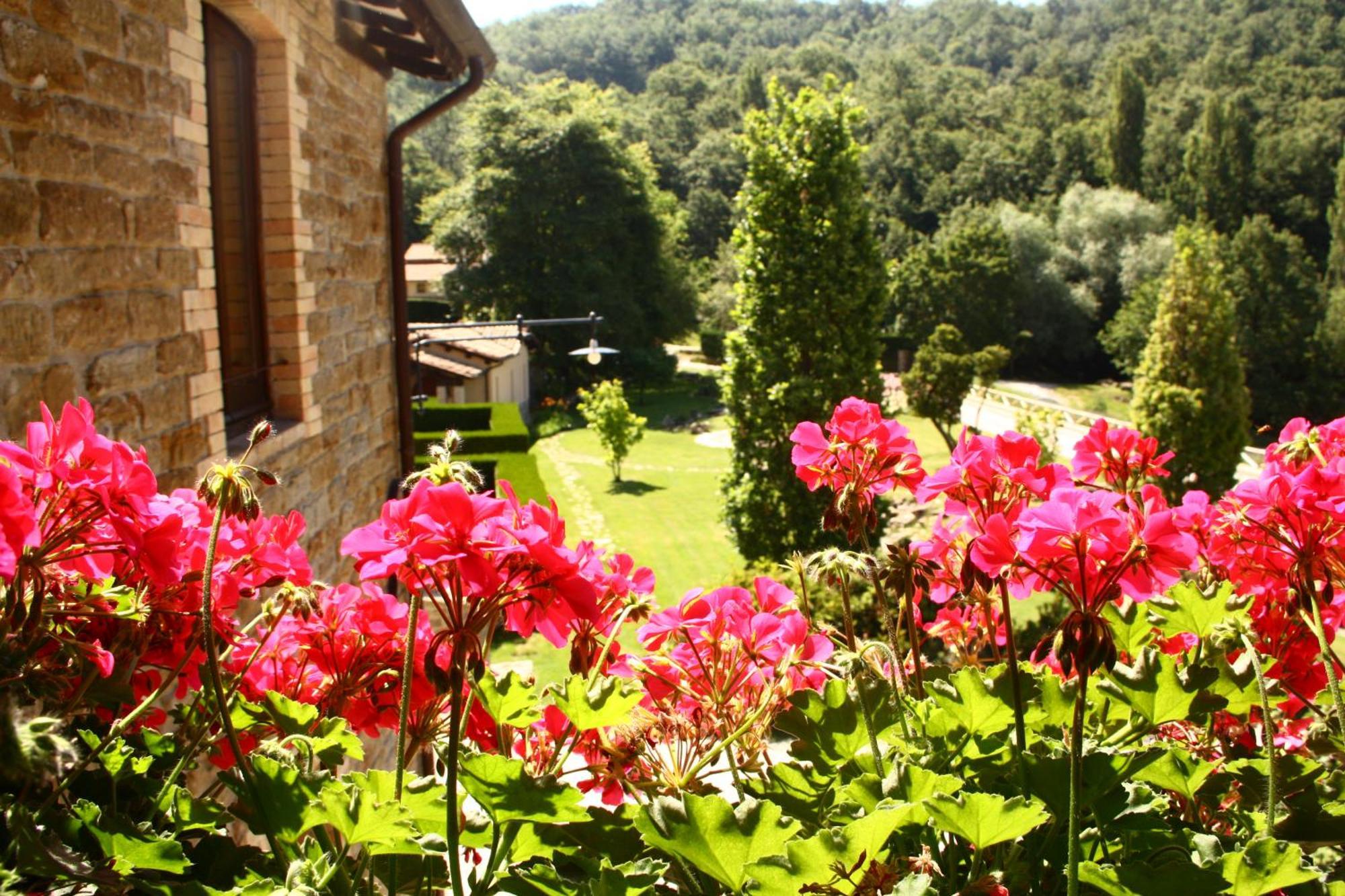 Agriturismo Le Case アッシジ エクステリア 写真
