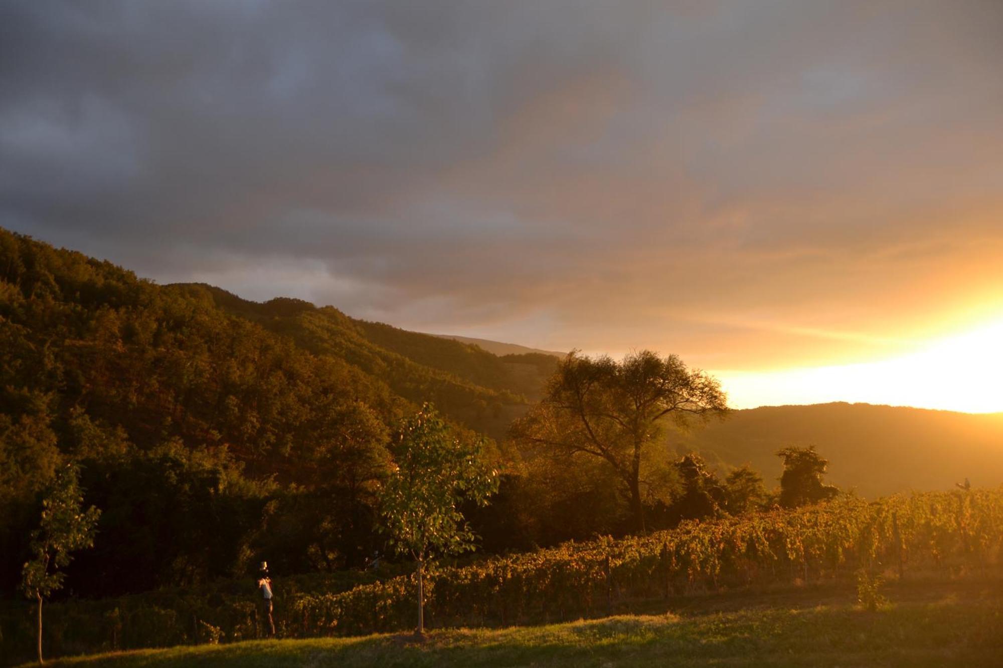 Agriturismo Le Case アッシジ エクステリア 写真